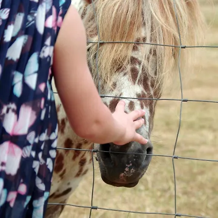 Tierparkhotel Hertefeld * فيزه